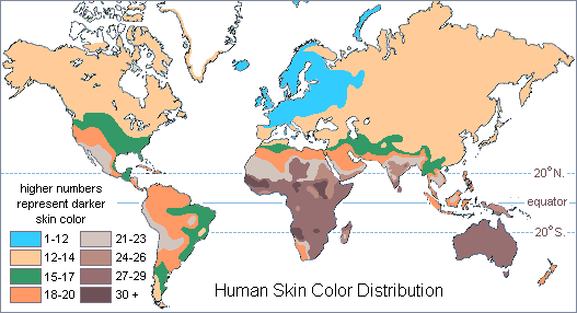 map_of_skin_color_distribution_28402